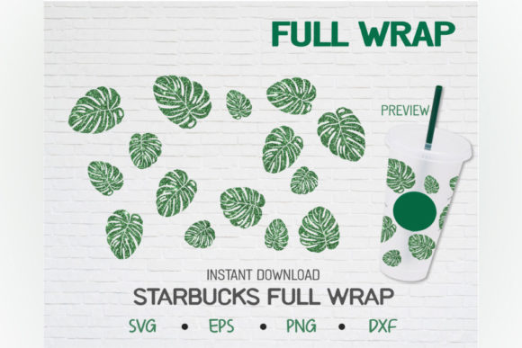 Monstera Botanical Graphics for a Modern Brand